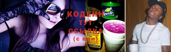 дживик Дегтярск