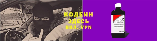 мяу мяу мука Сафоново