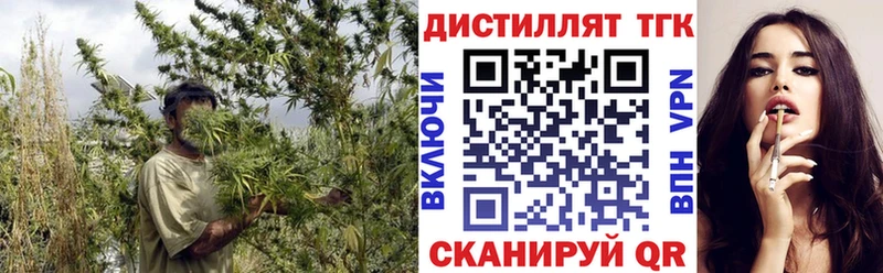 магазин продажи наркотиков  Трубчевск  Дистиллят ТГК THC oil 