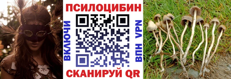 Галлюциногенные грибы Psilocybe мега ссылки Трубчевск